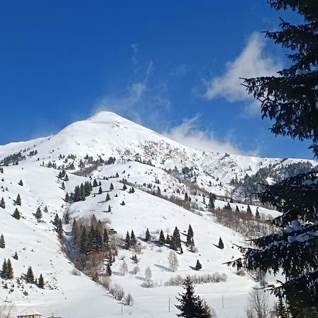 Pinetrees Lodge Плав Екстериор снимка