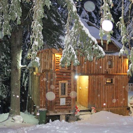 Pinetrees Lodge Плав Екстериор снимка