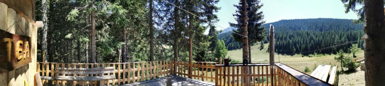 Pinetrees Lodge Плав Екстериор снимка