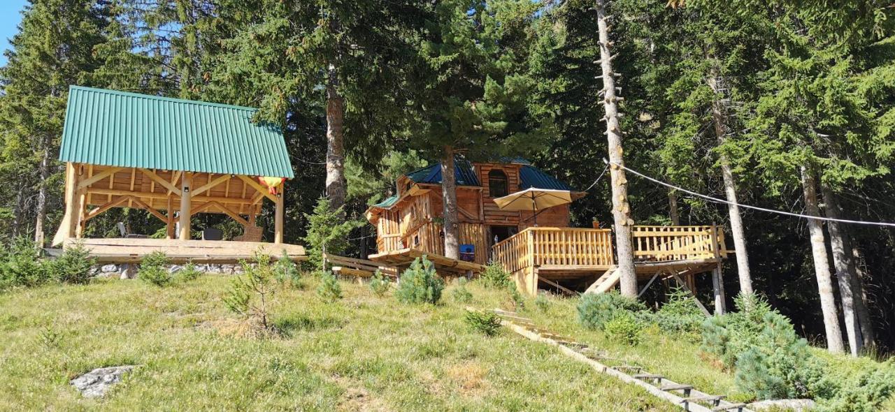 Pinetrees Lodge Плав Екстериор снимка