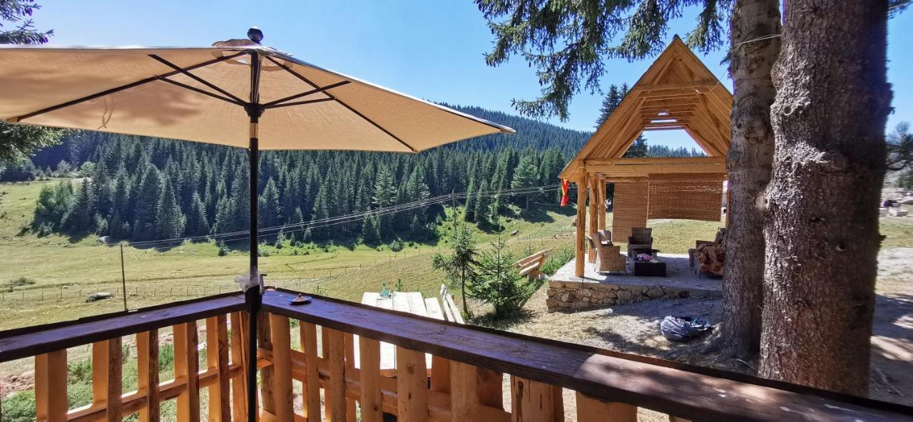 Pinetrees Lodge Плав Екстериор снимка