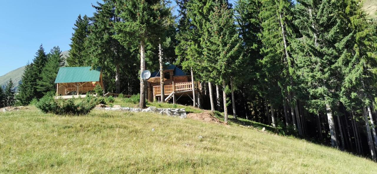 Pinetrees Lodge Плав Екстериор снимка