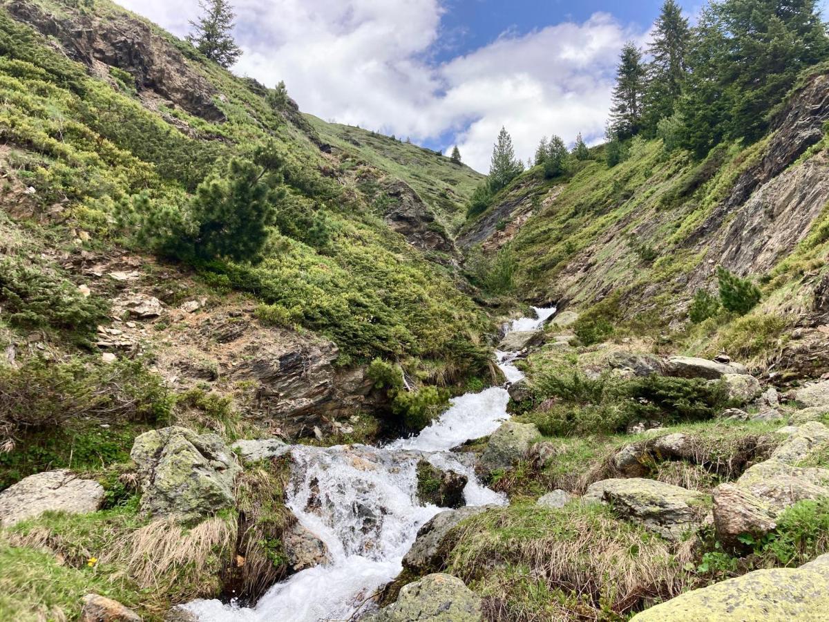 Pinetrees Lodge Плав Екстериор снимка