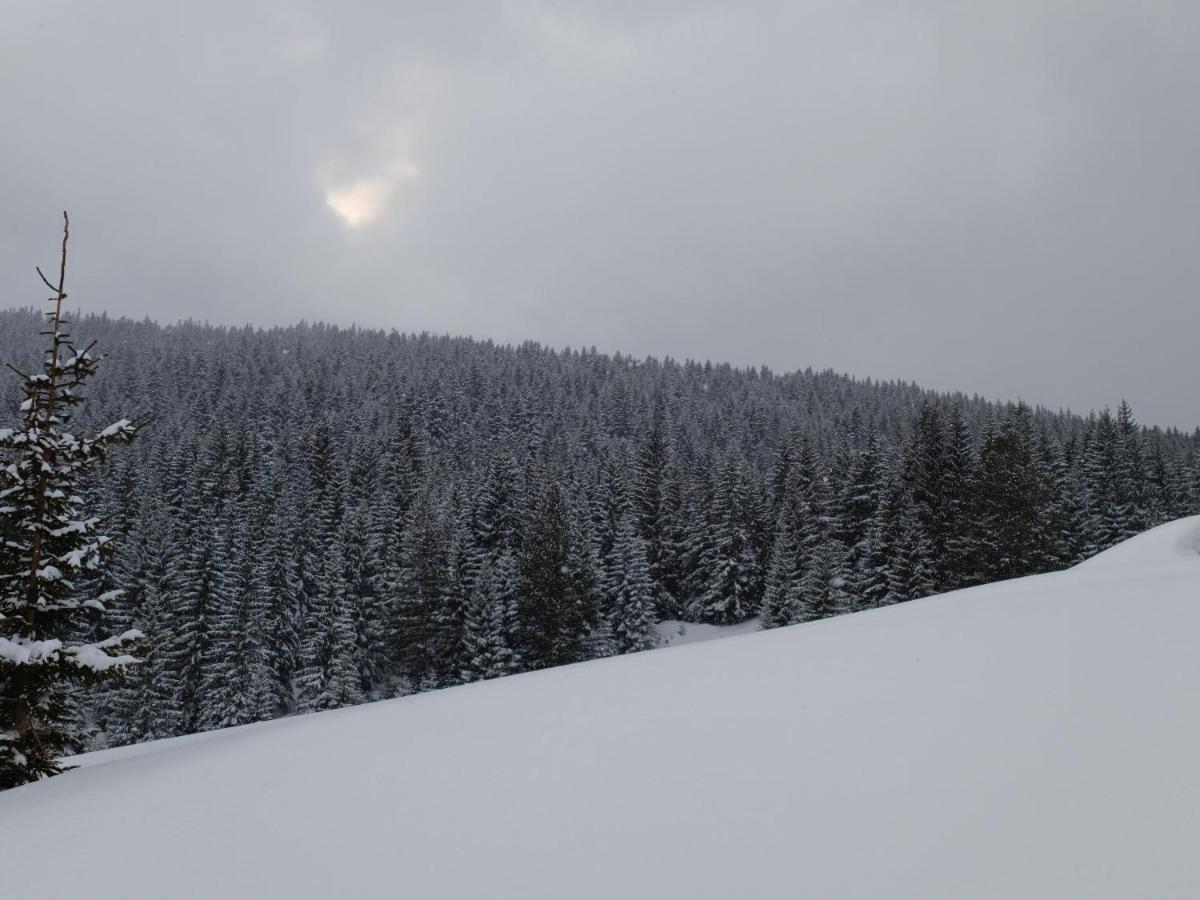 Pinetrees Lodge Плав Екстериор снимка
