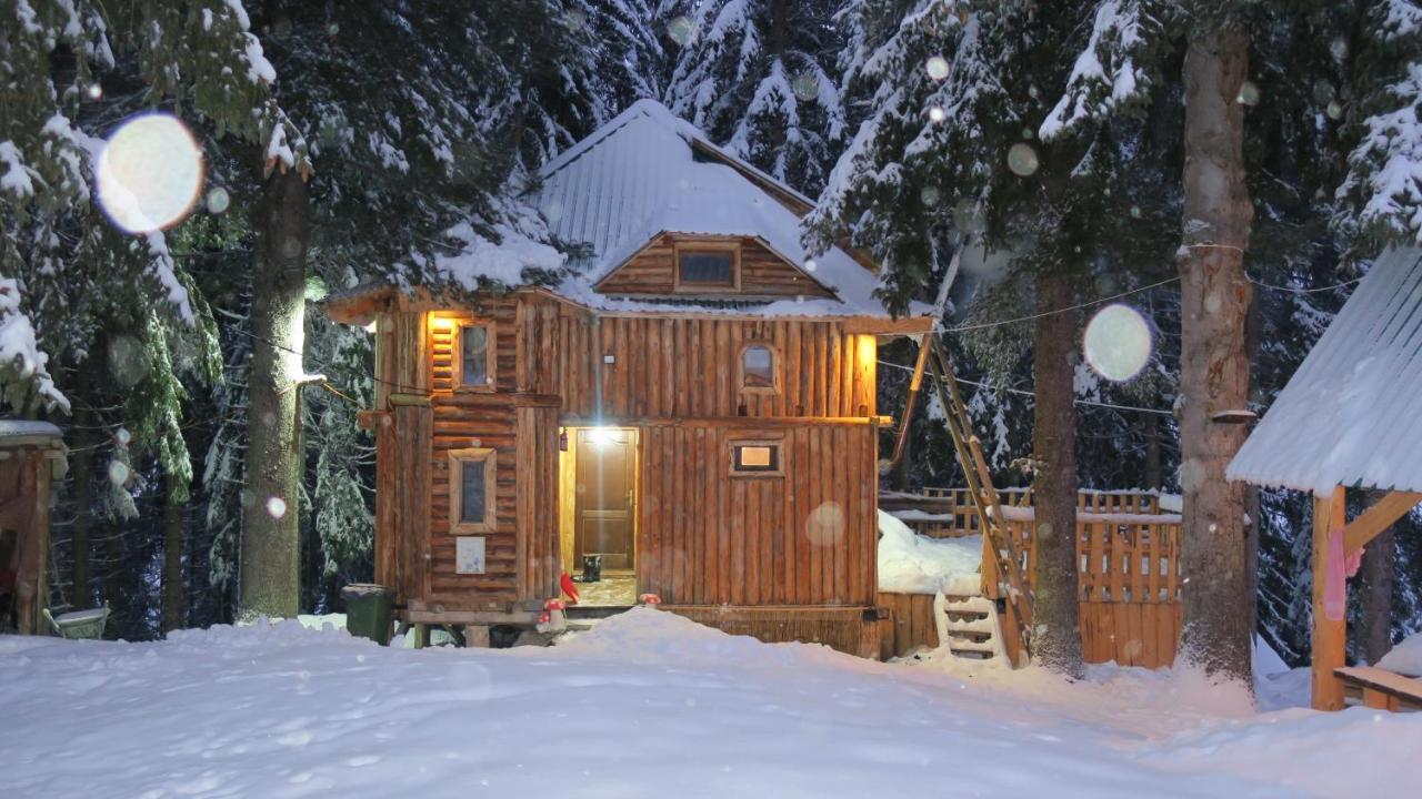 Pinetrees Lodge Плав Екстериор снимка