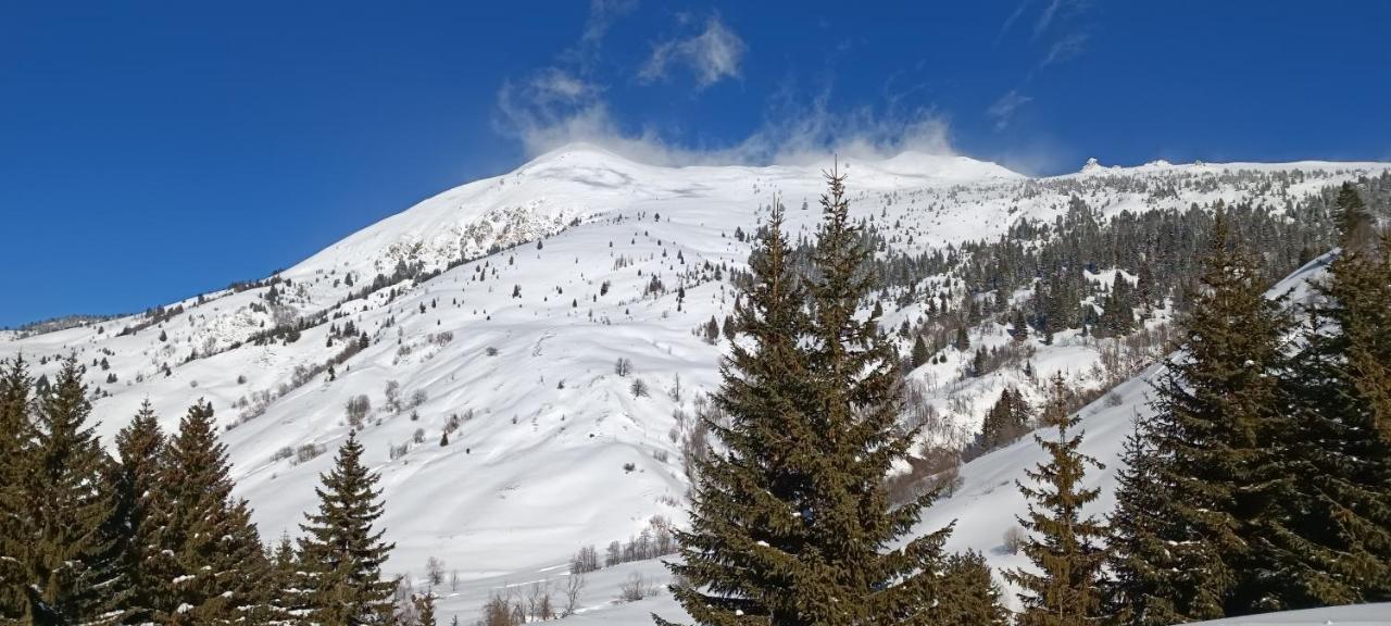 Pinetrees Lodge Плав Екстериор снимка