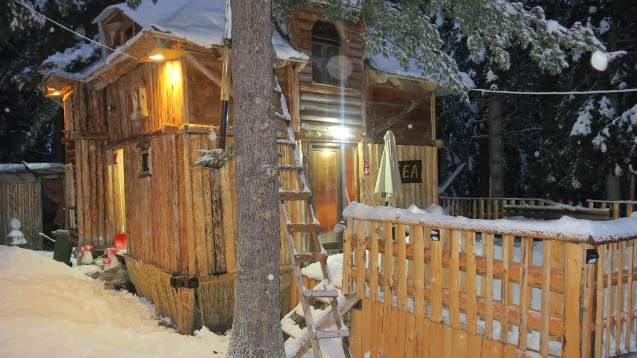 Pinetrees Lodge Плав Екстериор снимка