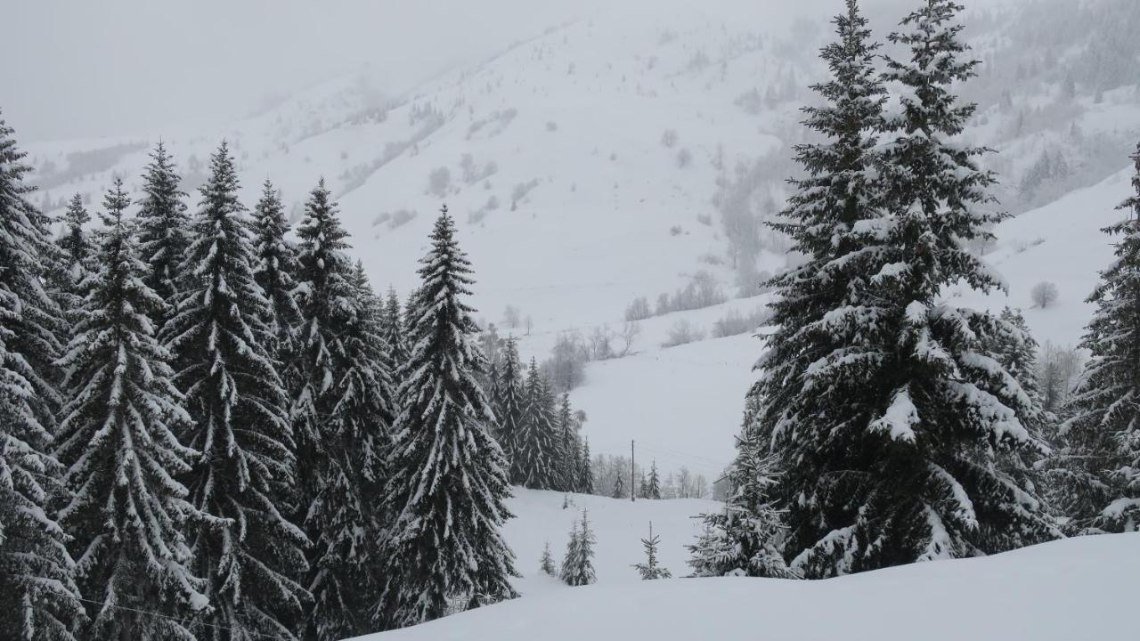 Pinetrees Lodge Плав Екстериор снимка