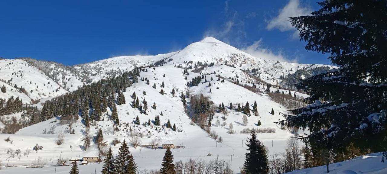 Pinetrees Lodge Плав Екстериор снимка