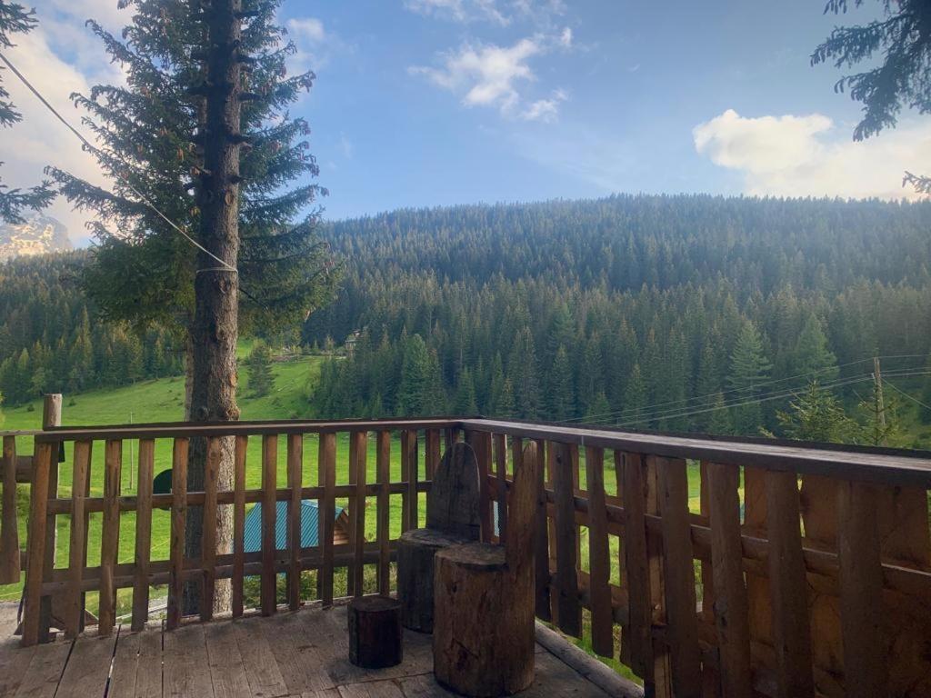 Pinetrees Lodge Плав Екстериор снимка