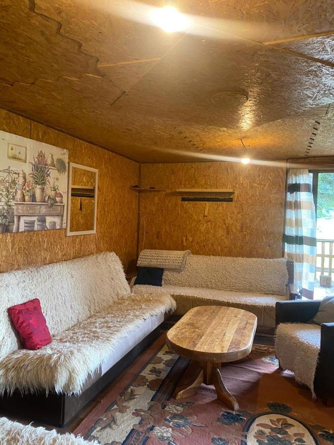 Pinetrees Lodge Плав Екстериор снимка