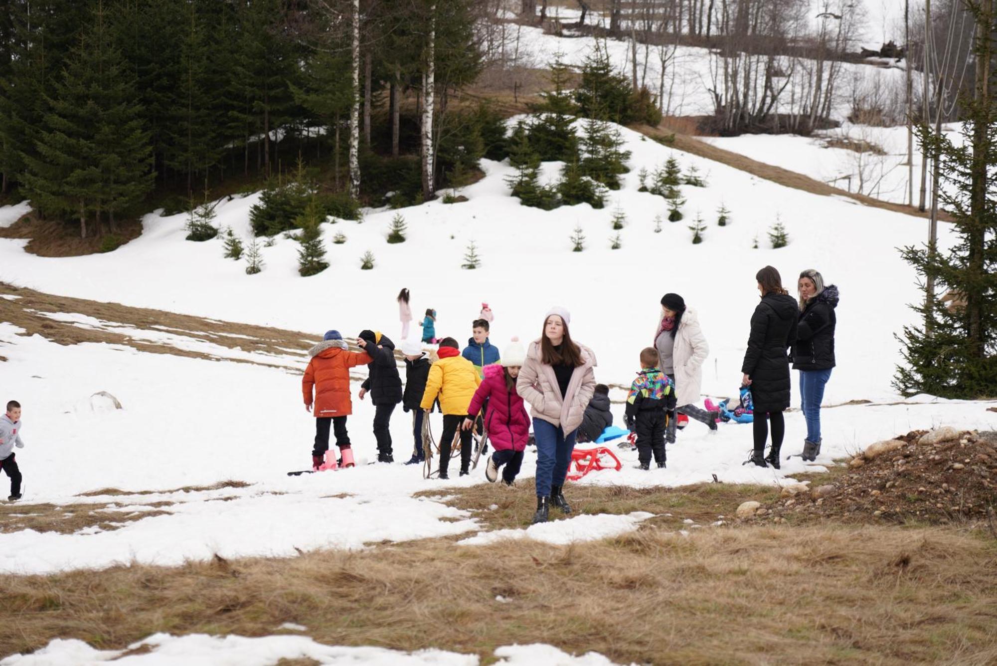 Pinetrees Lodge Плав Екстериор снимка